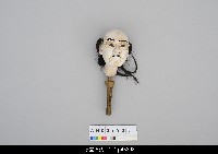 藏品(男性角色)的圖片